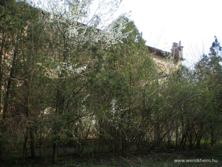 Kiscsako_Geist-Batthyany-kastely 019